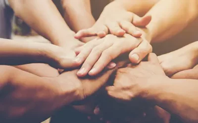 Sed ut perspiciatis unde omnis iste natus error sit voluptatem  accusantium dolore maue laudan